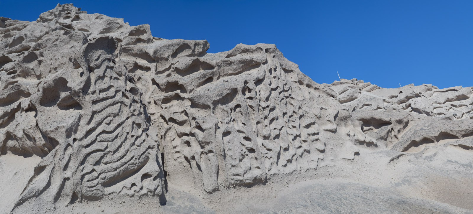 [Group 7]-L1000279_L1000284-6 images